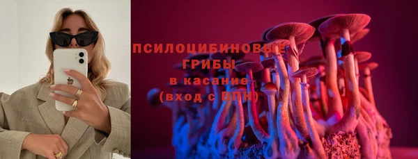 прущие грибы Абдулино