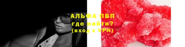 прущие грибы Абдулино