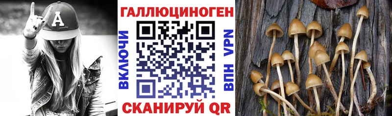 купить   Нелидово  Галлюциногенные грибы Magic Shrooms 